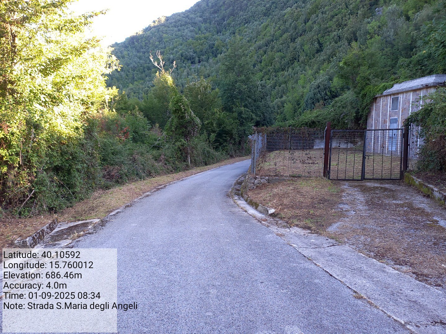 Galleria Fotografica Immagine