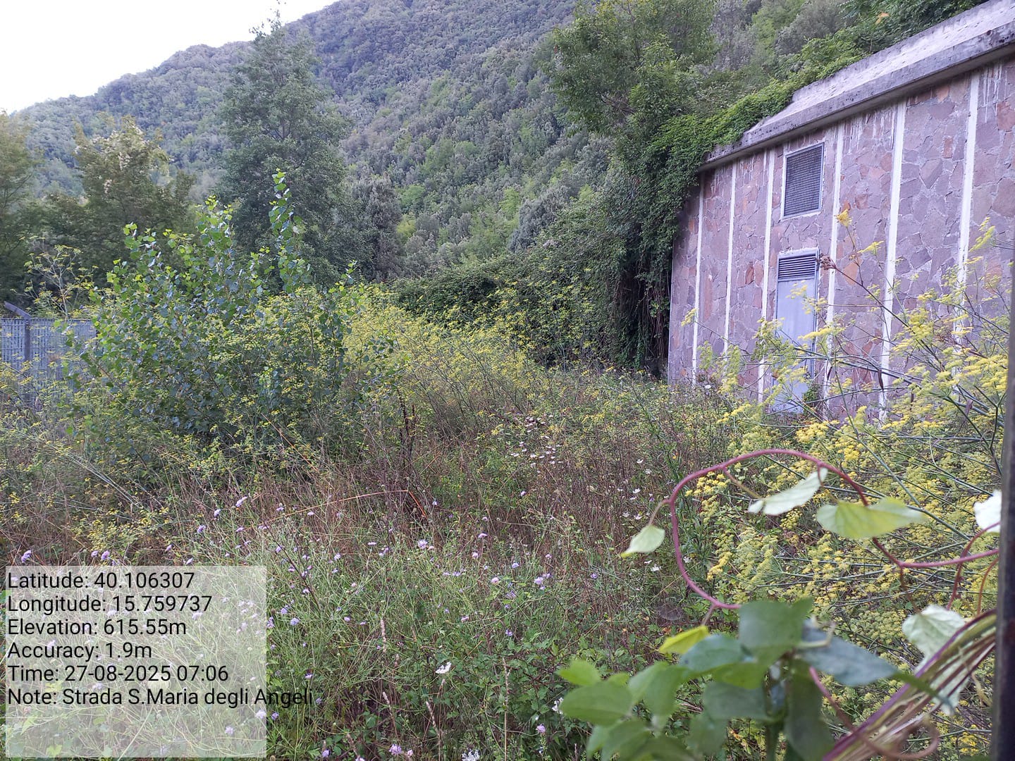 Galleria Fotografica Immagine