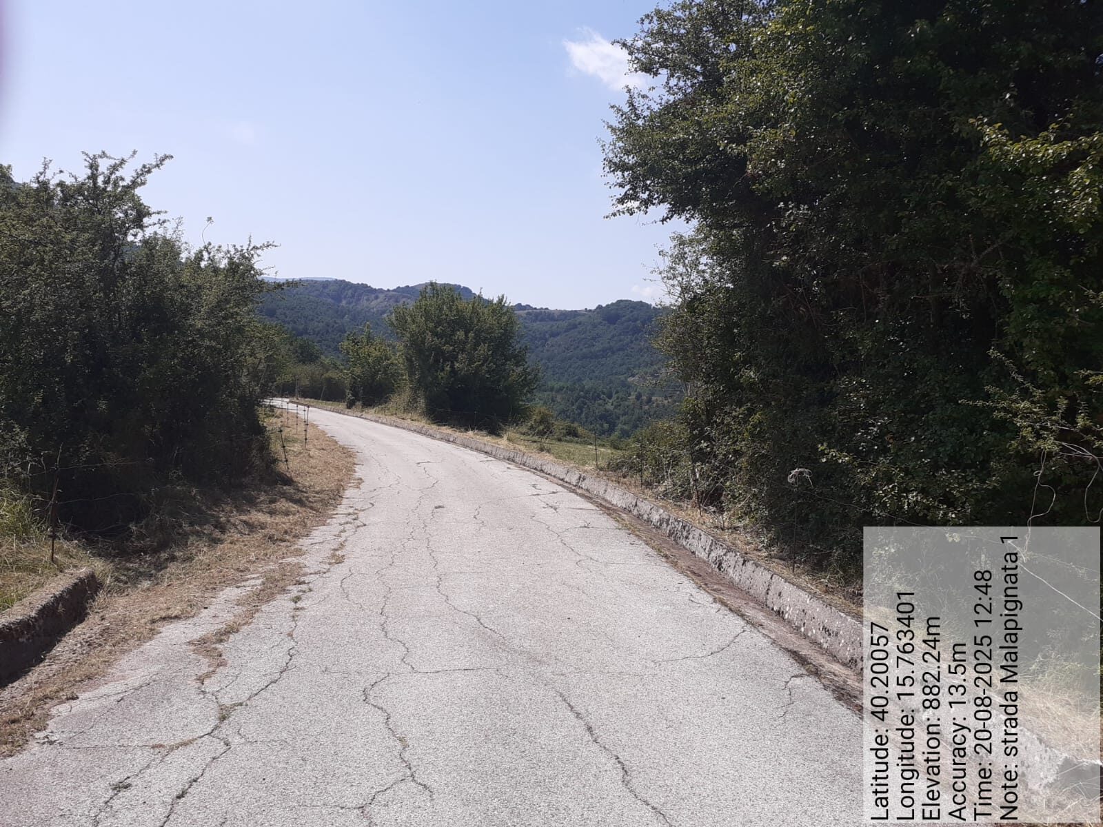 Galleria Fotografica Immagine