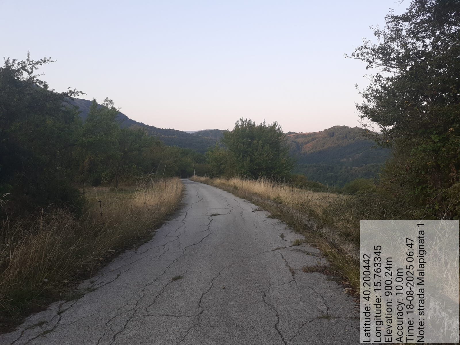 Galleria Fotografica Immagine