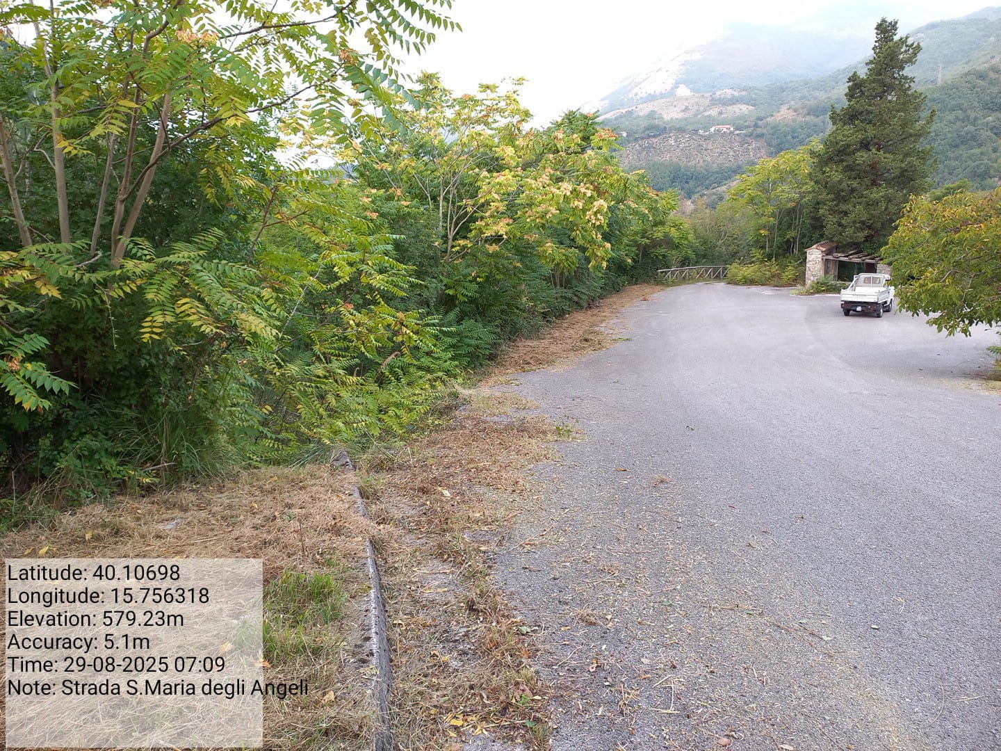 Galleria Fotografica Immagine