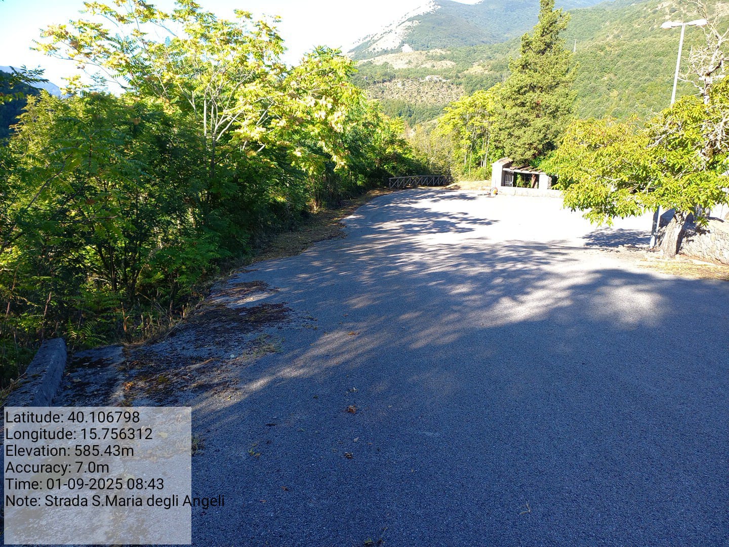 Galleria Fotografica Immagine