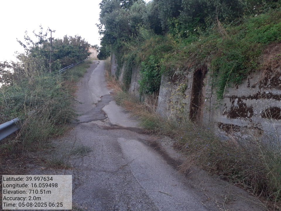 Galleria Fotografica Immagine