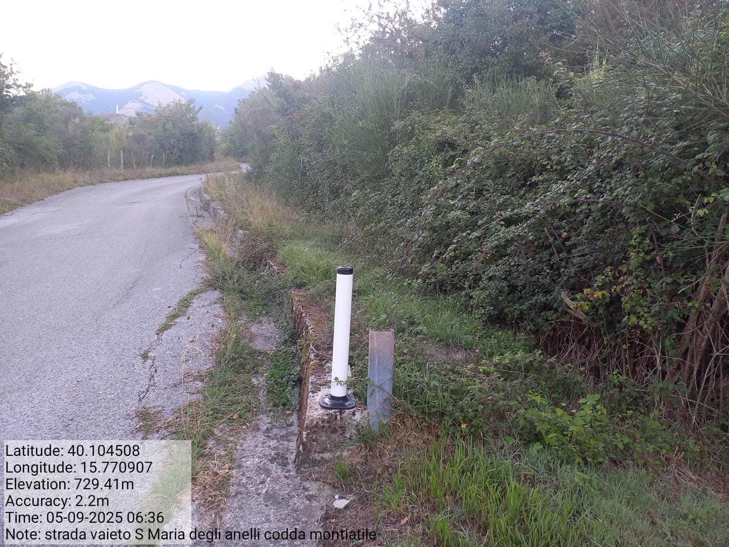 Galleria Fotografica Immagine