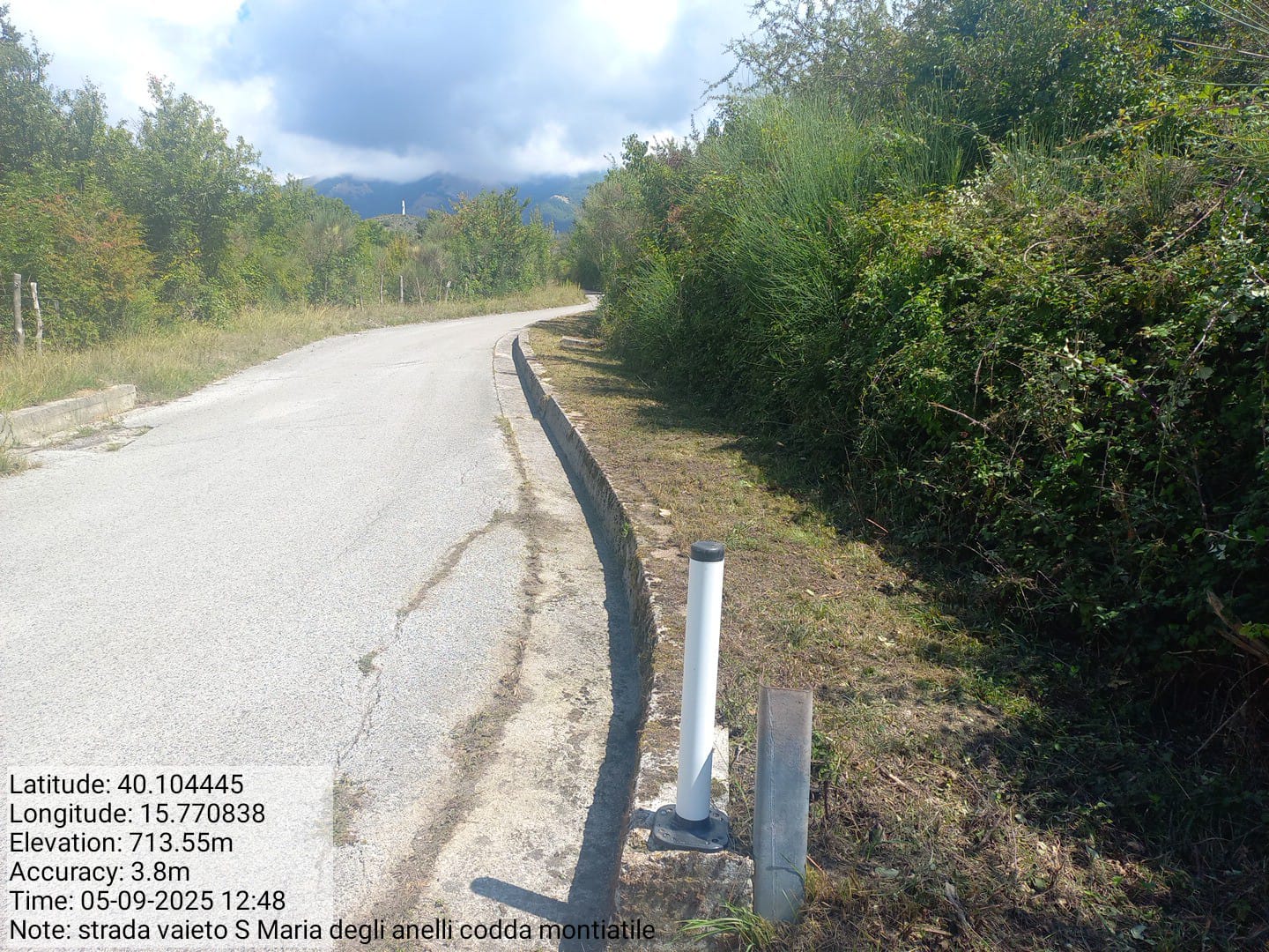 Galleria Fotografica Immagine