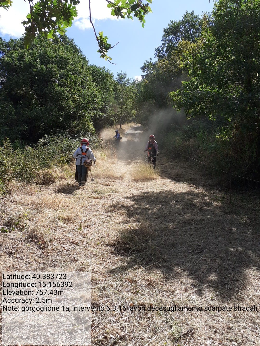 Galleria Fotografica Immagine