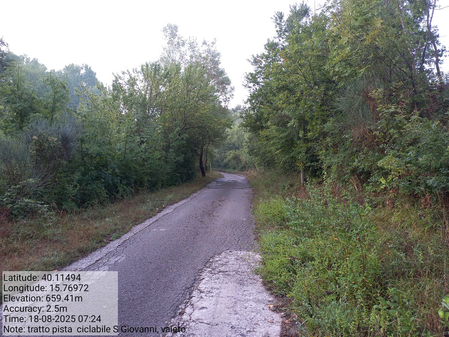 Galleria Fotografica Immagine