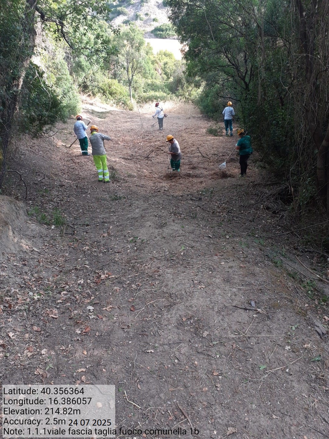 Galleria Fotografica Immagine