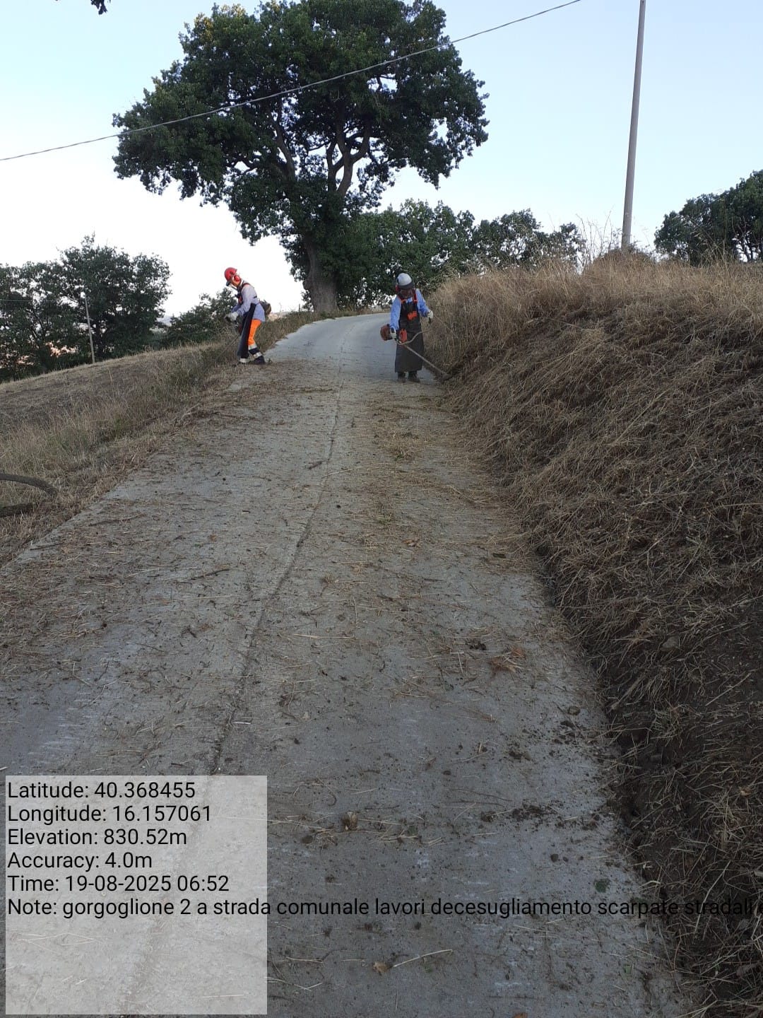 Galleria Fotografica Immagine