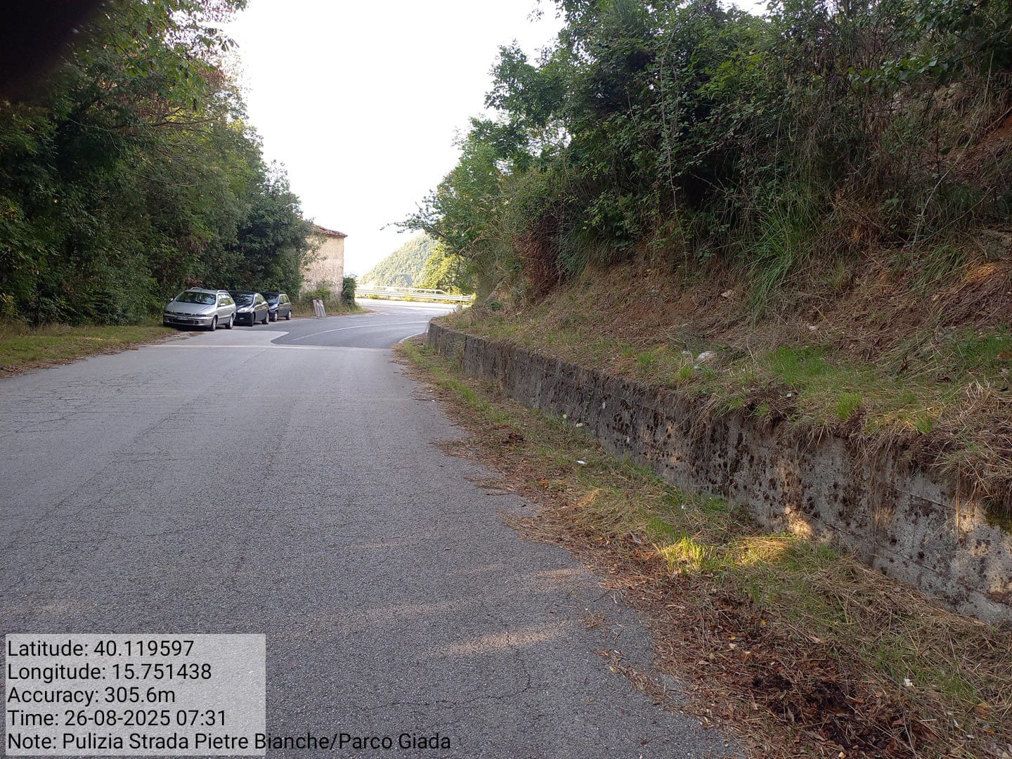 Galleria Fotografica Immagine