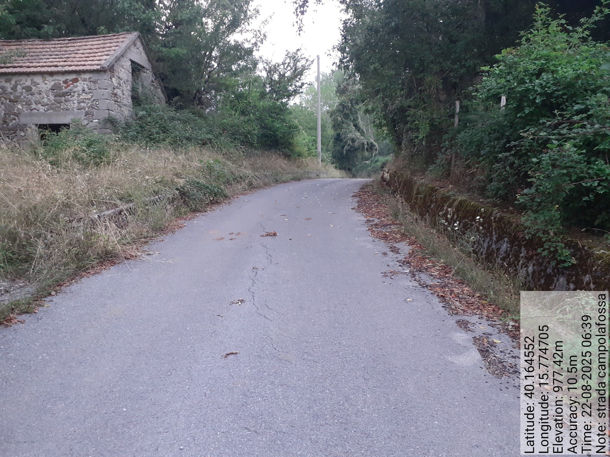 Galleria Fotografica Immagine