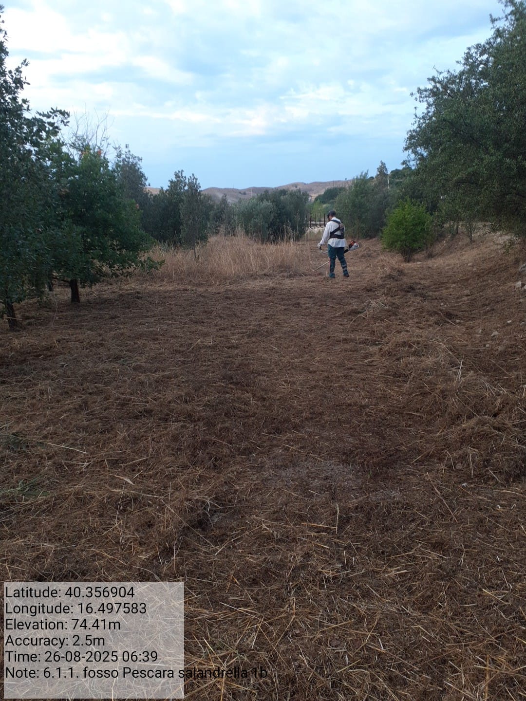 Galleria Fotografica Immagine