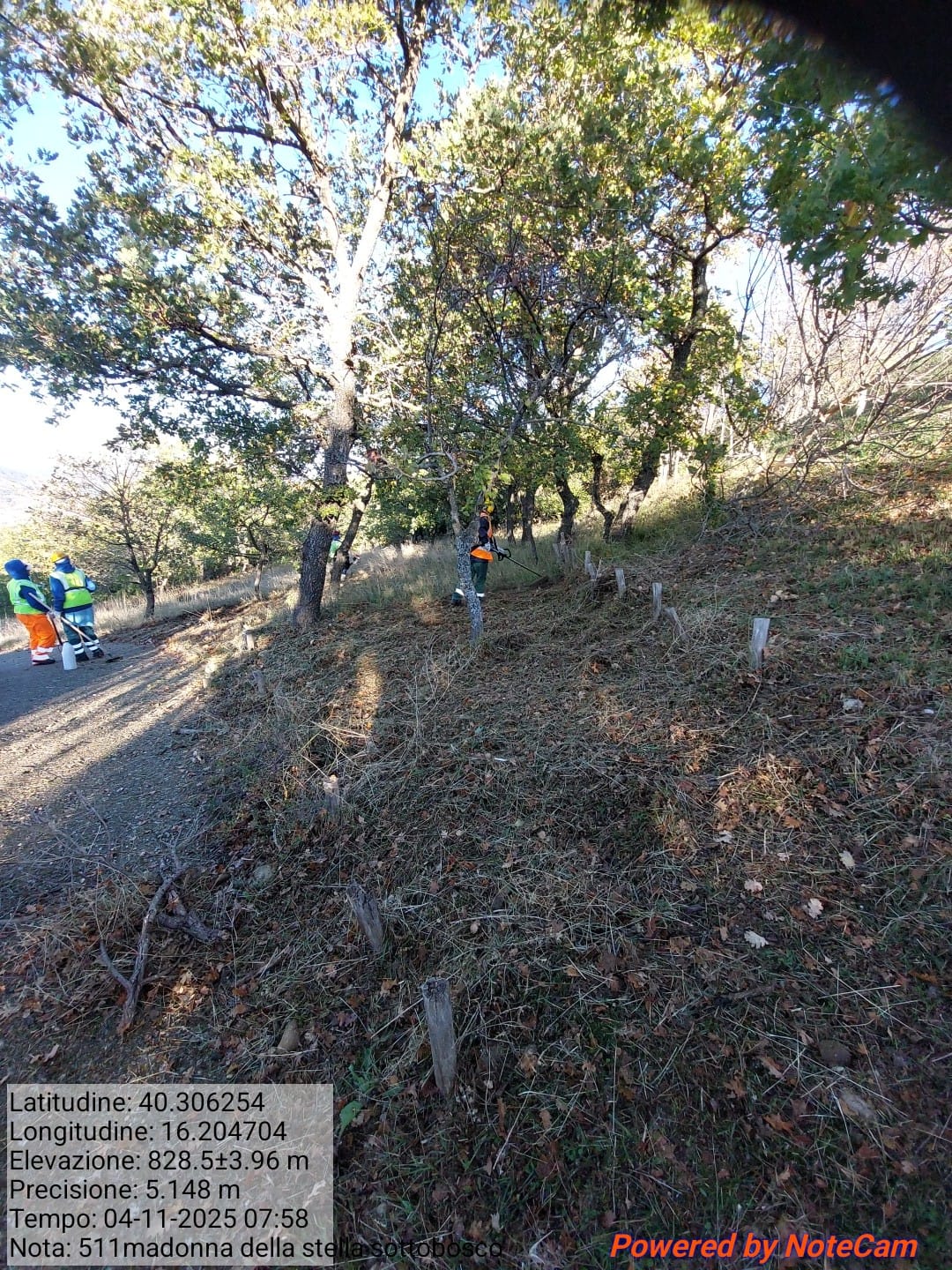 Galleria Fotografica Immagine