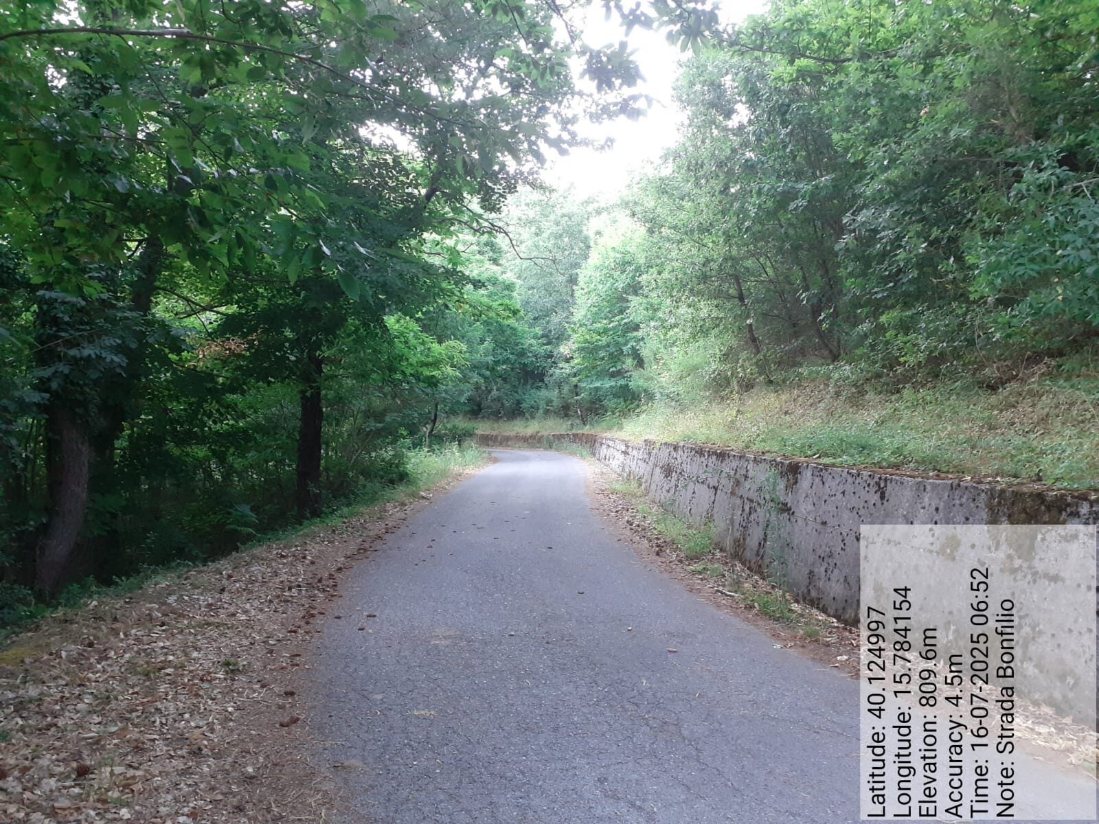 Galleria Fotografica Immagine