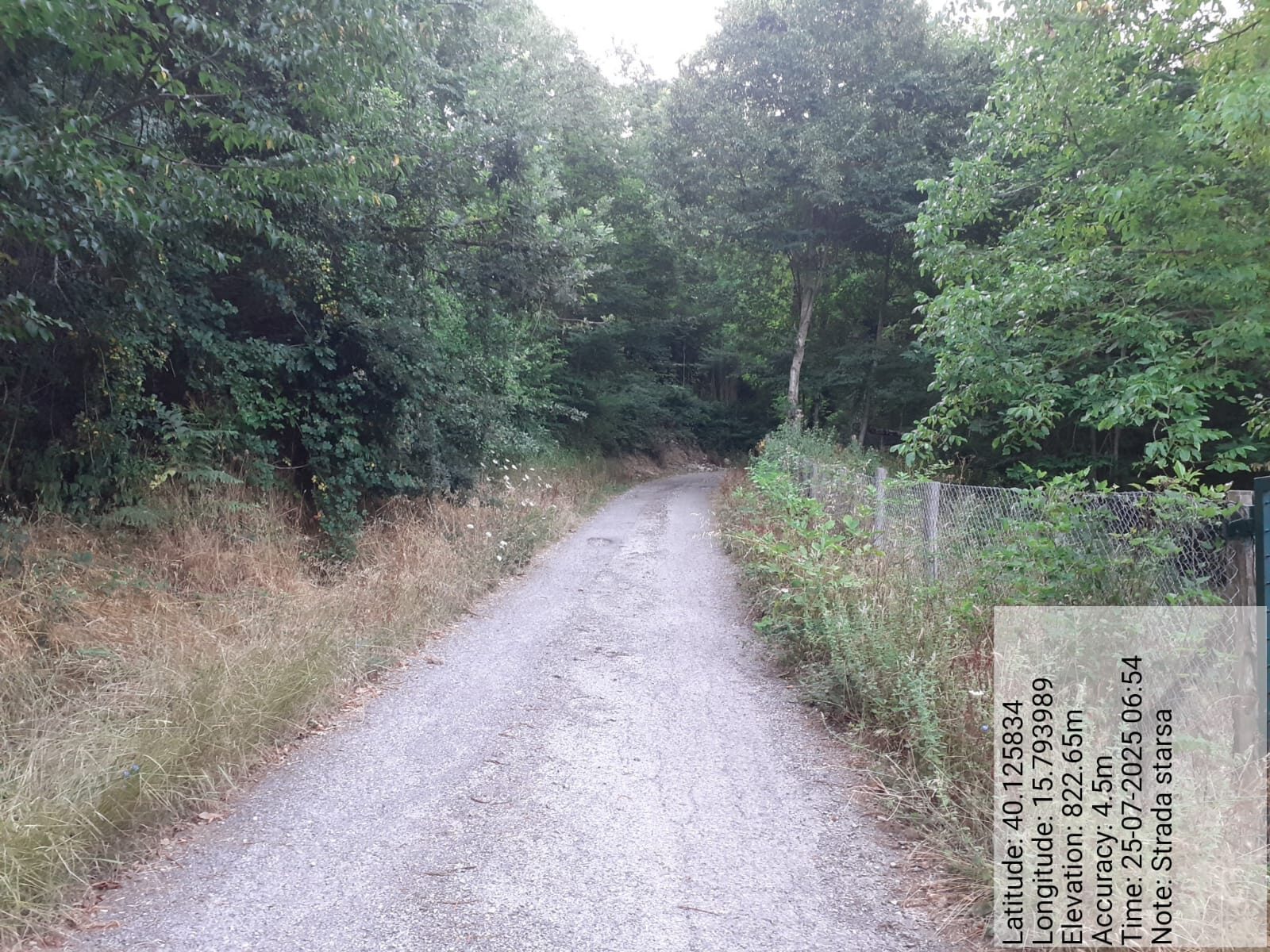 Galleria Fotografica Immagine