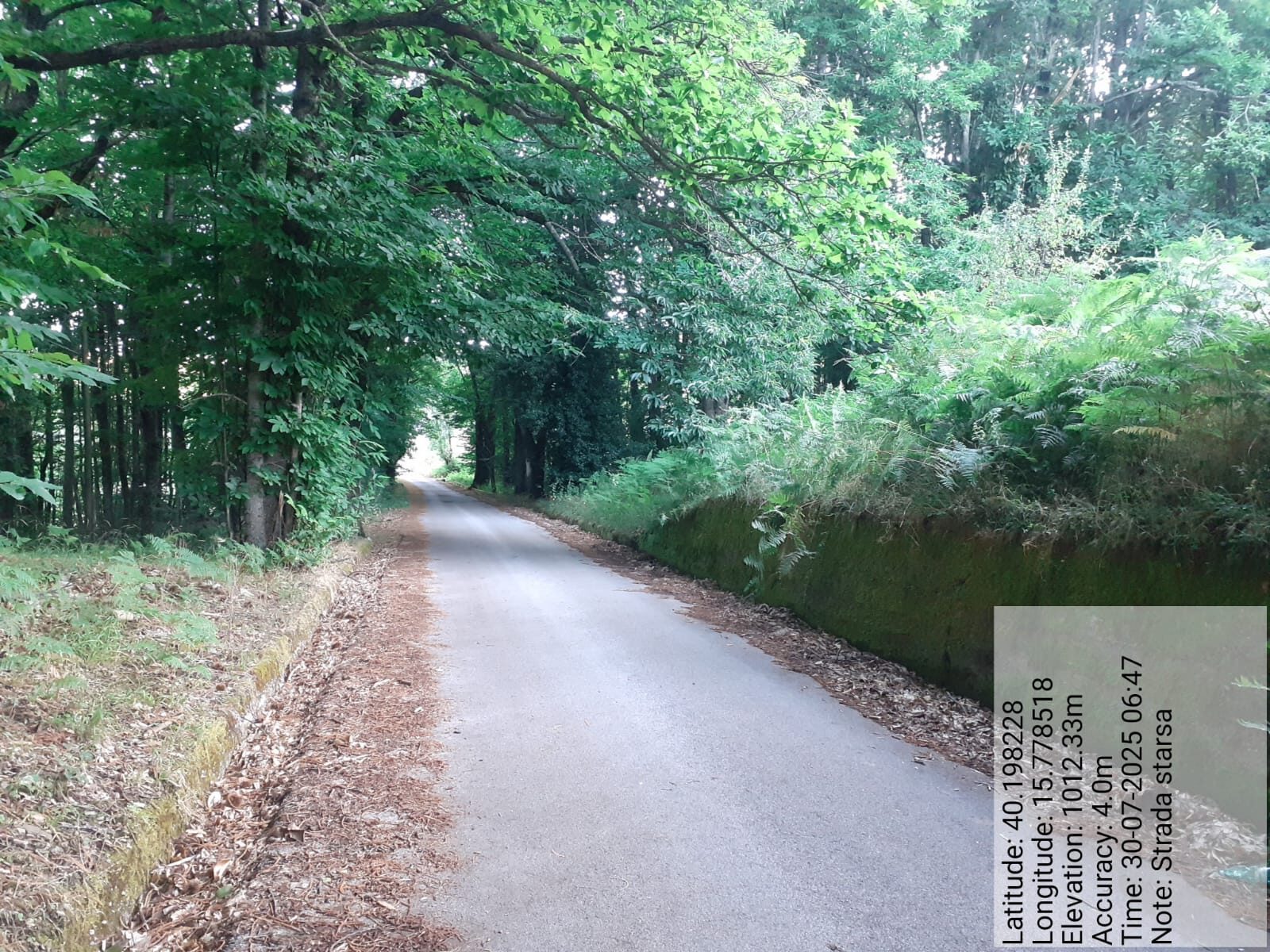 Galleria Fotografica Immagine