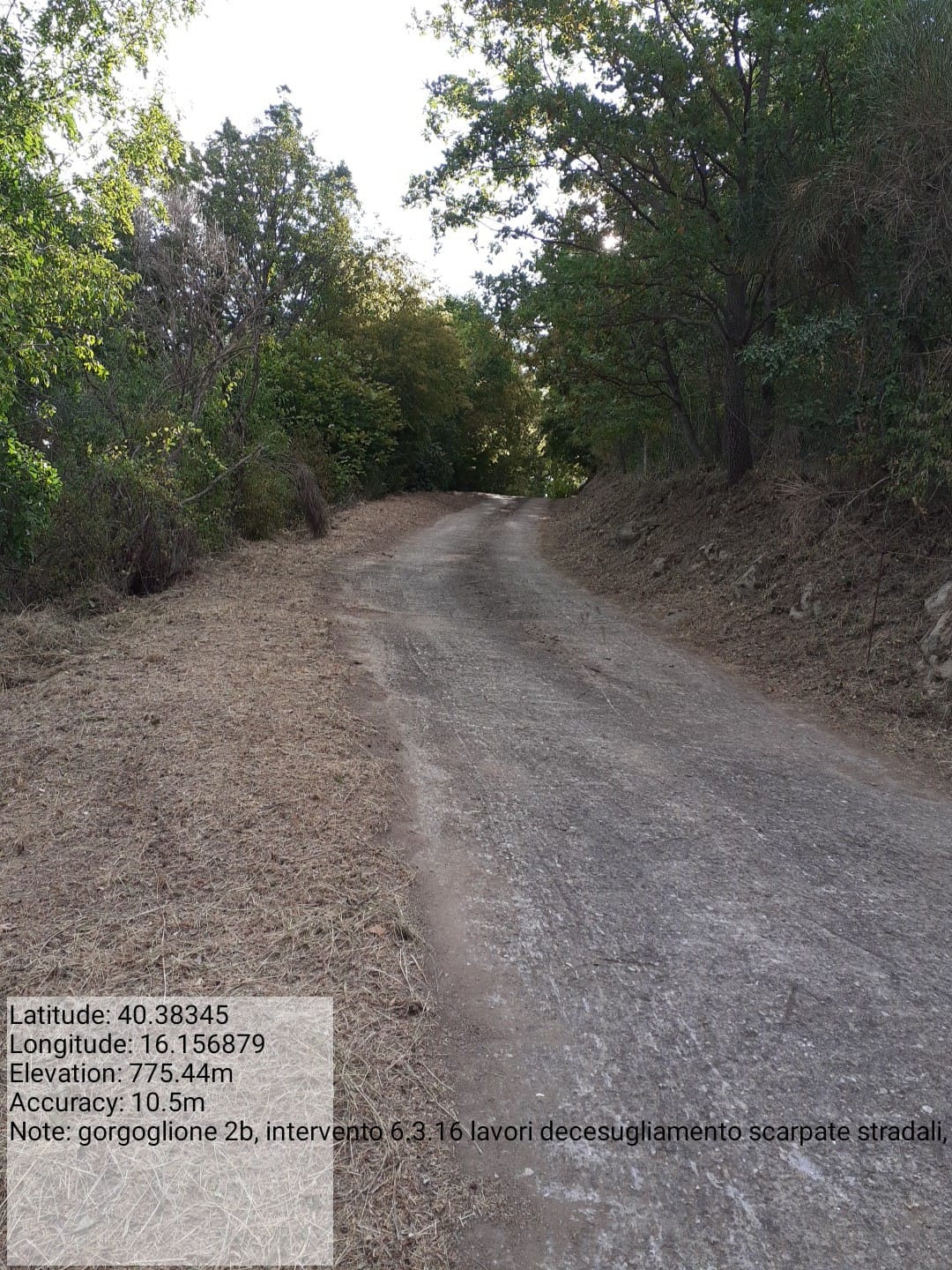 Galleria Fotografica Immagine