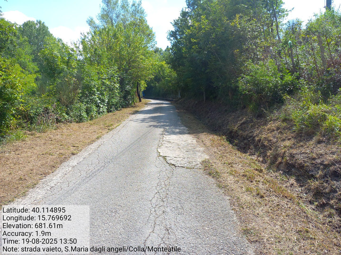 Galleria Fotografica Immagine