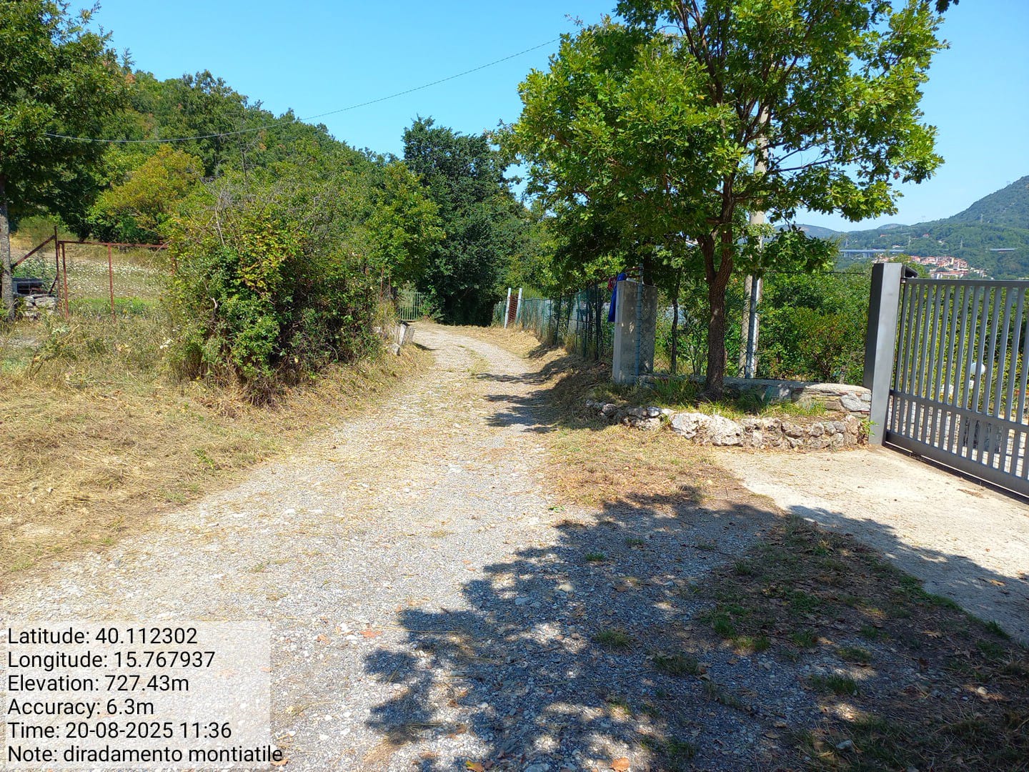 Galleria Fotografica Immagine