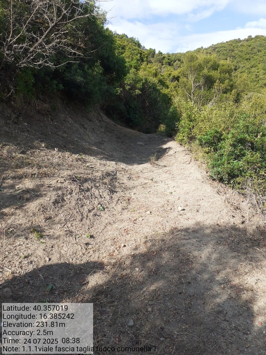 Galleria Fotografica Immagine