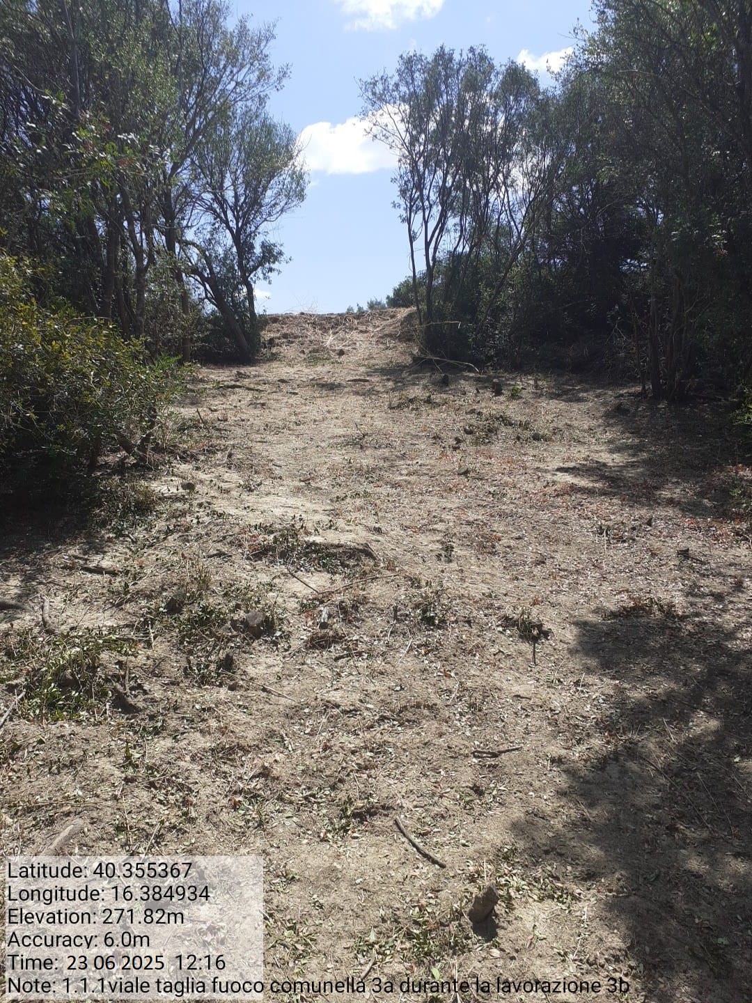 Galleria Fotografica Immagine