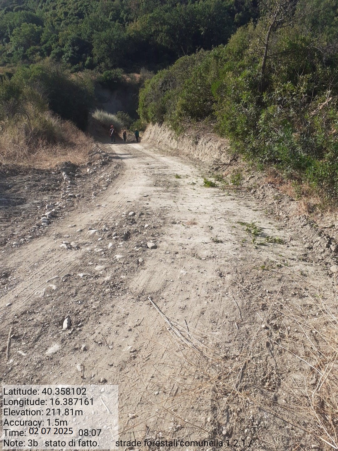 Galleria Fotografica Immagine