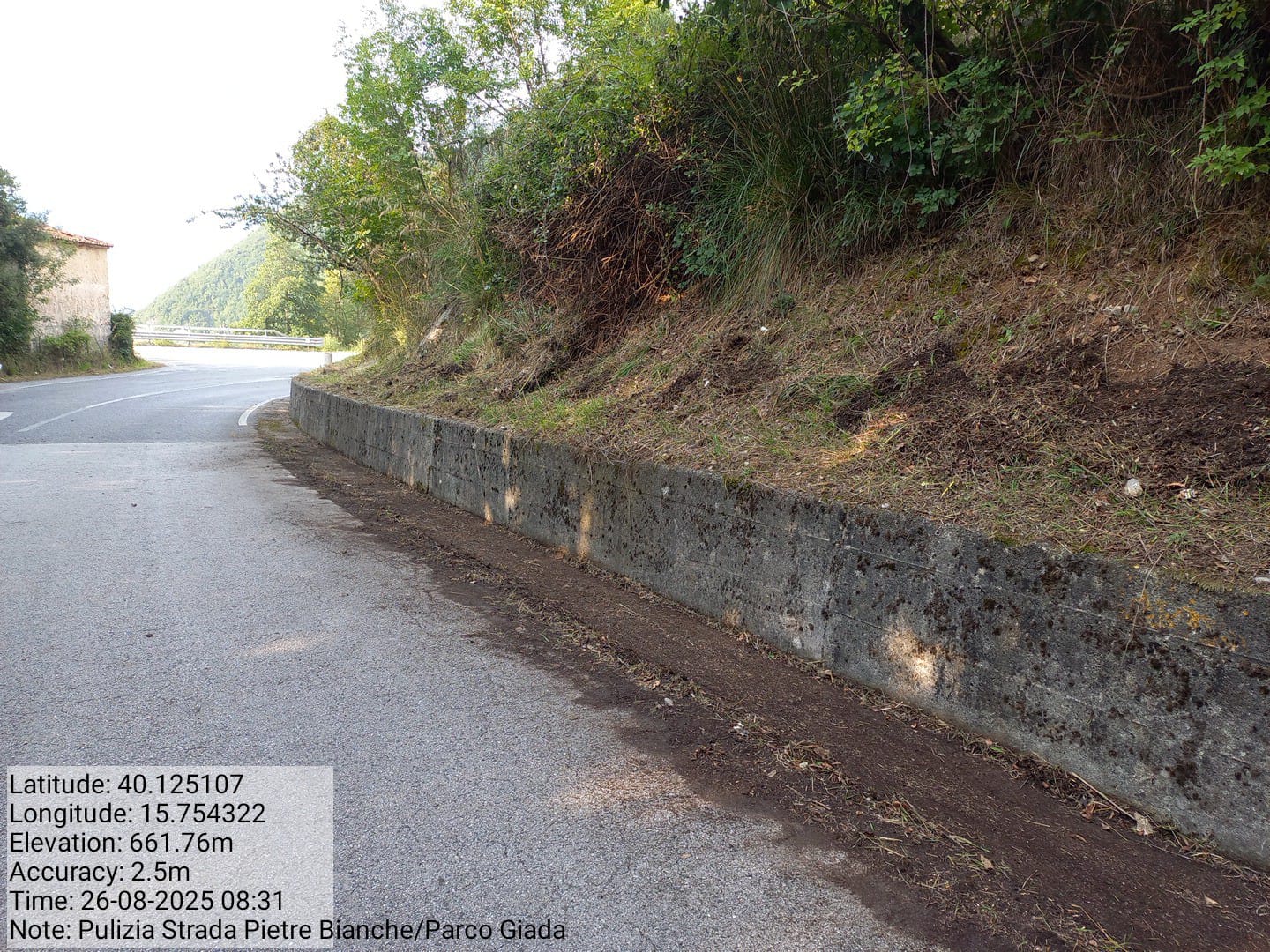 Galleria Fotografica Immagine