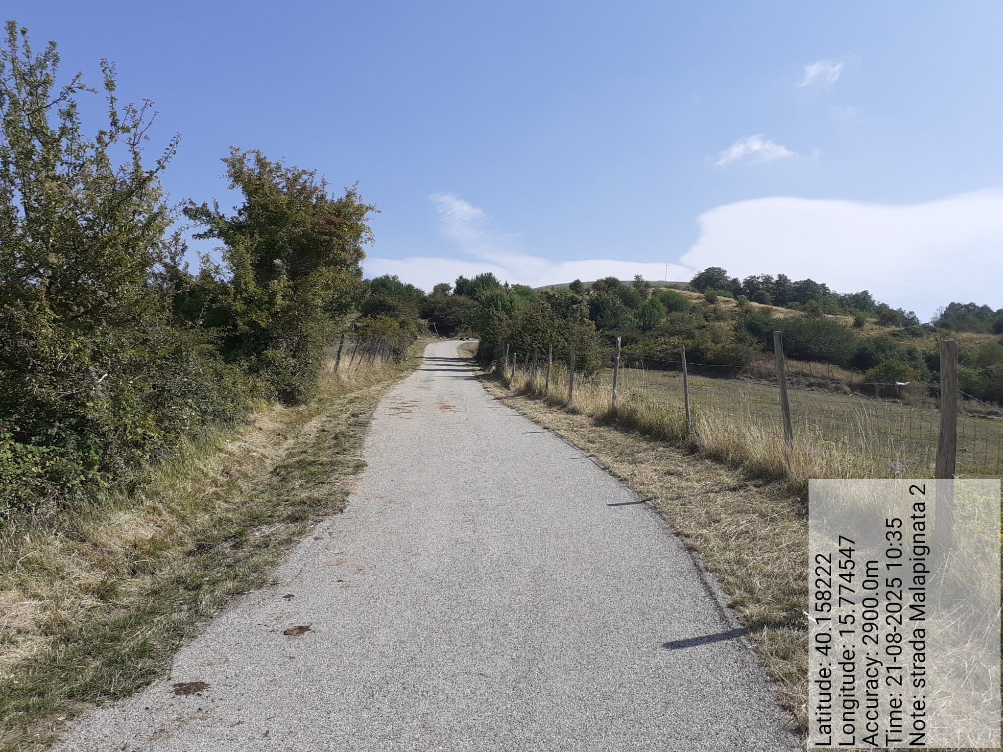 Galleria Fotografica Immagine