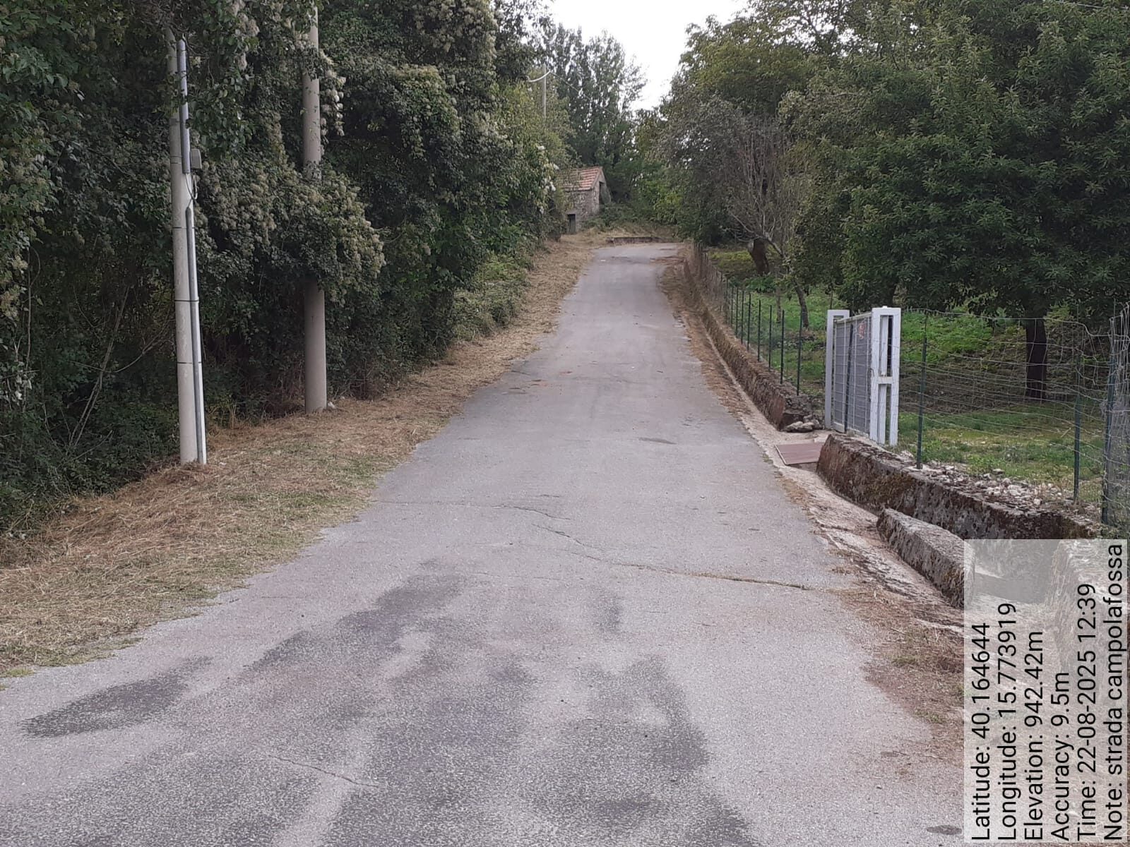 Galleria Fotografica Immagine