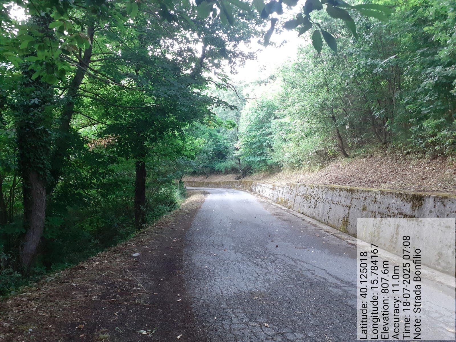 Galleria Fotografica Immagine