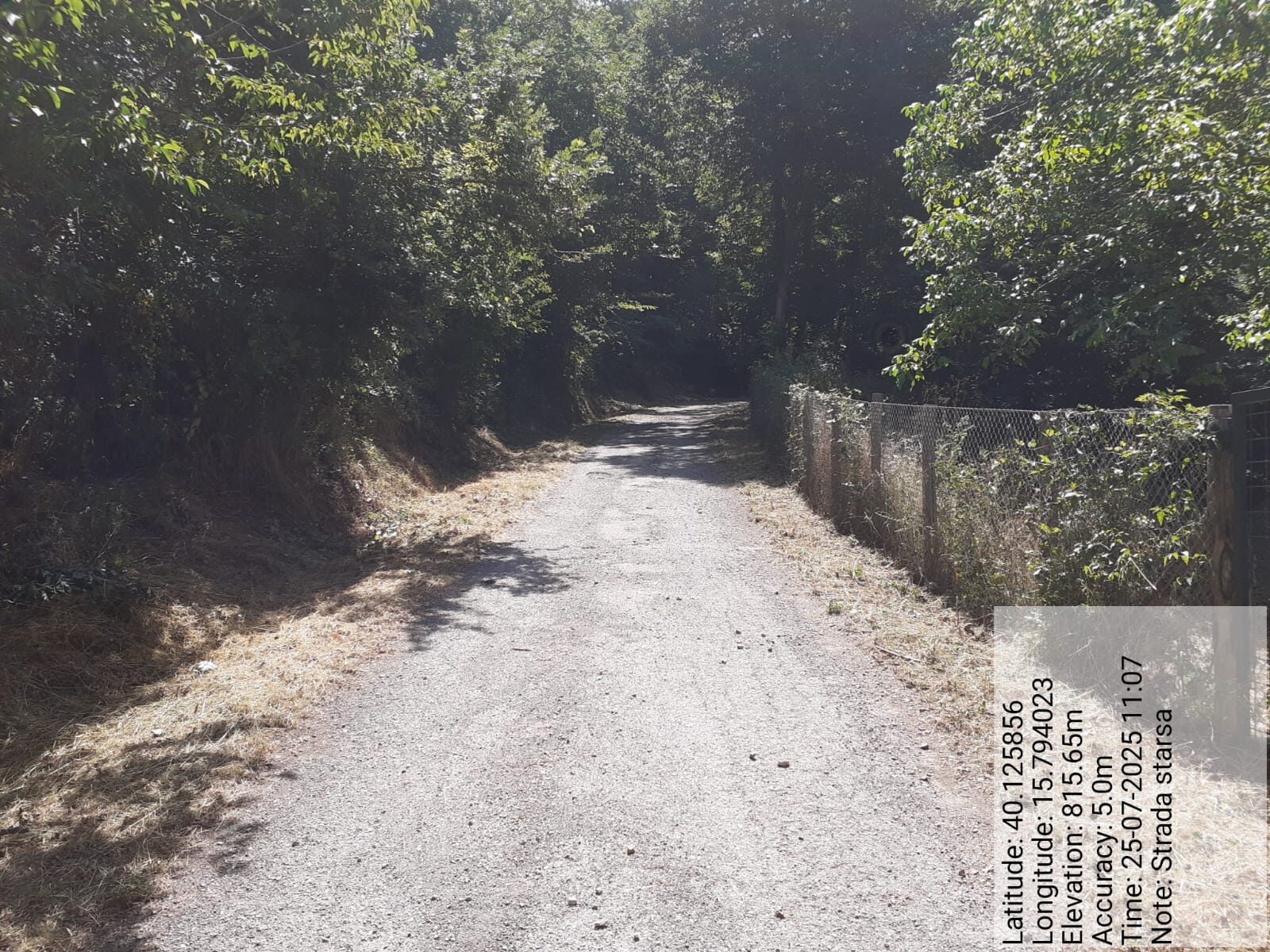 Galleria Fotografica Immagine