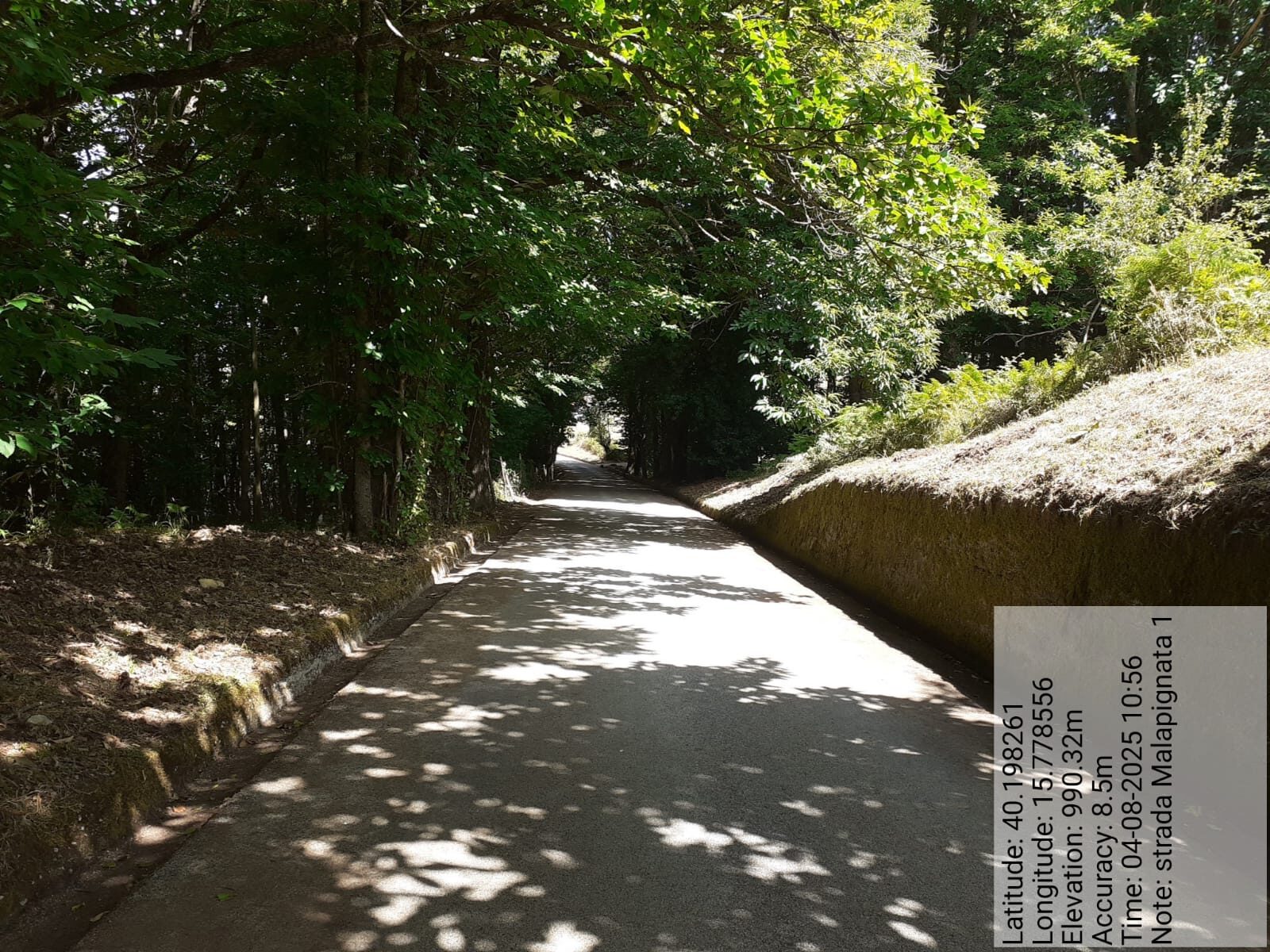 Galleria Fotografica Immagine