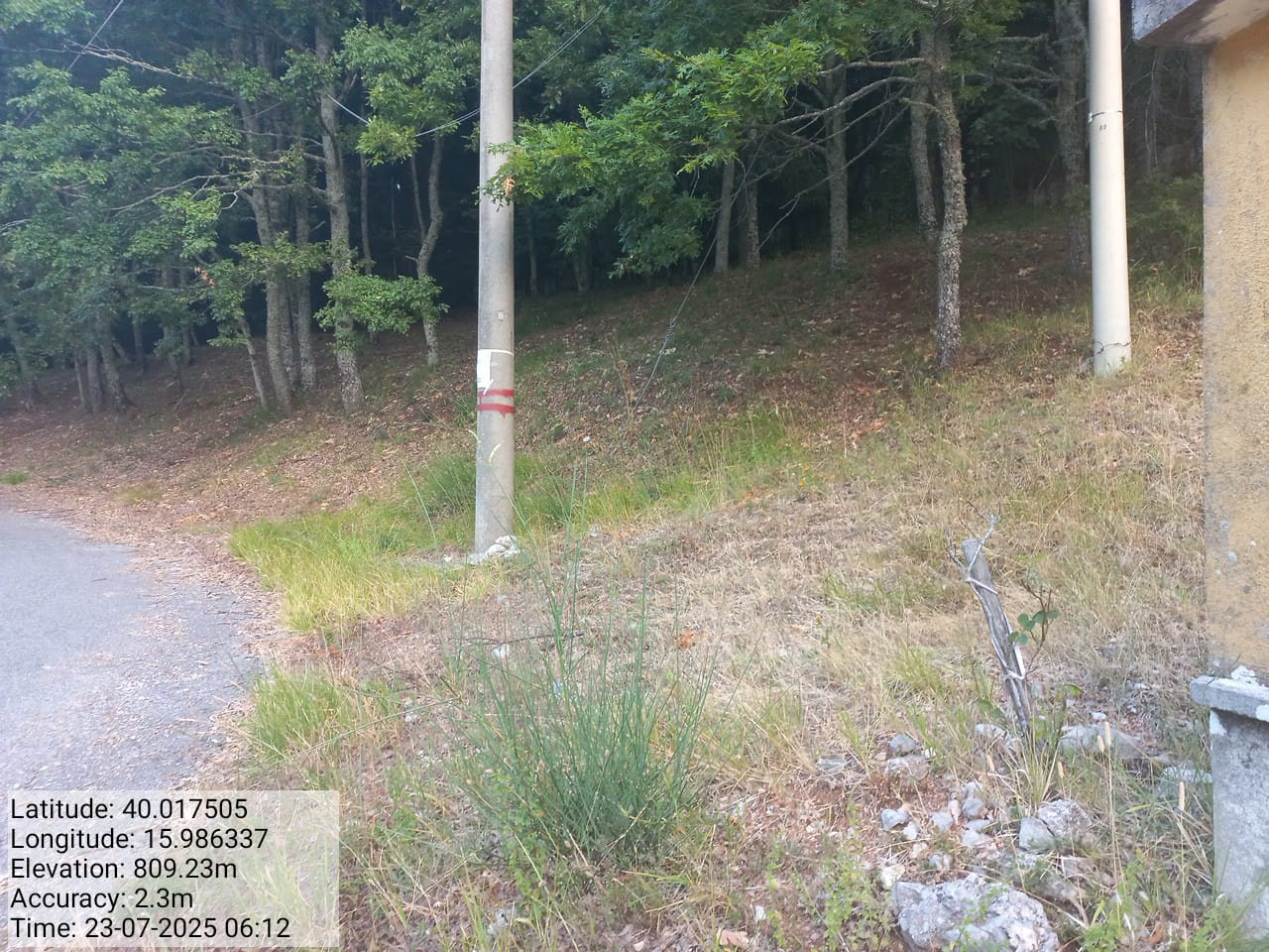 Galleria Fotografica Immagine