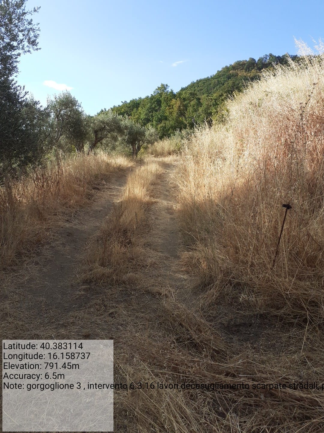 Galleria Fotografica Immagine