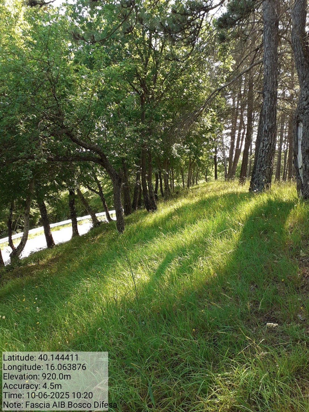 Galleria Fotografica Immagine