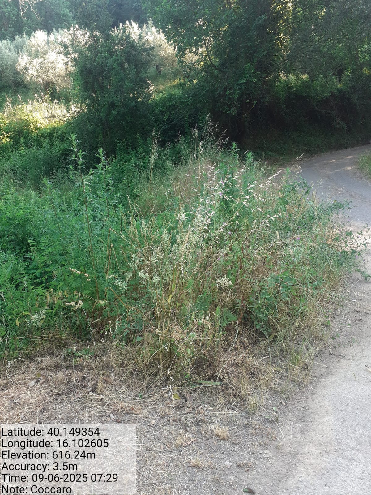 Galleria Fotografica Immagine