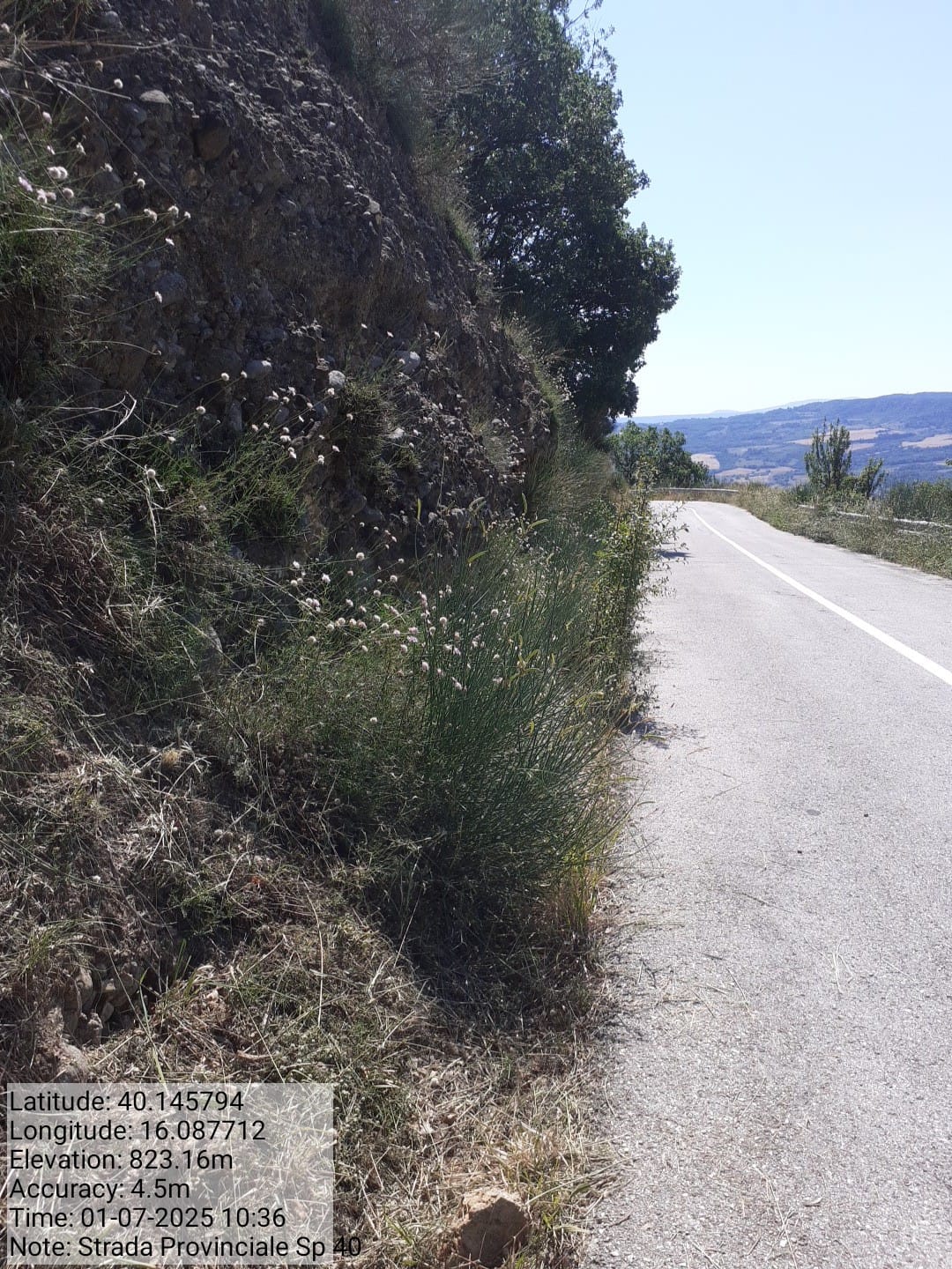 Galleria Fotografica Immagine