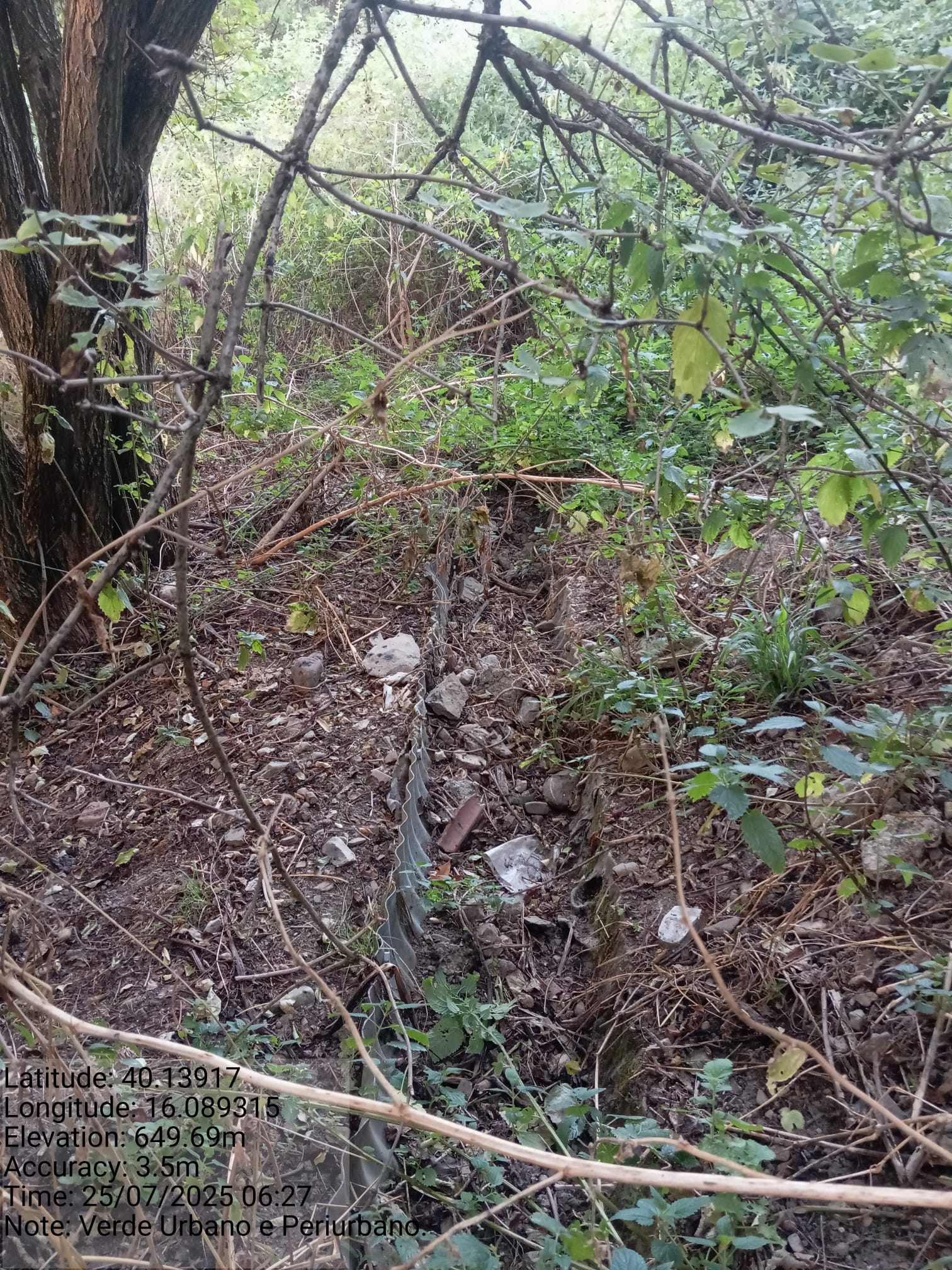 Galleria Fotografica Immagine