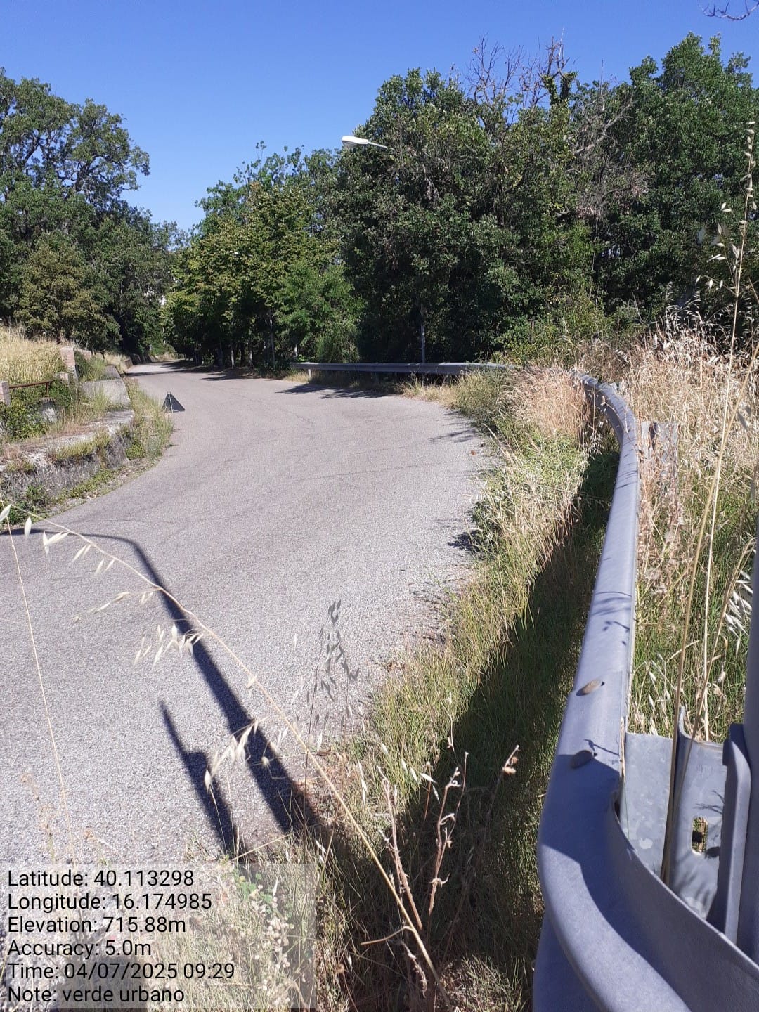 Galleria Fotografica Immagine