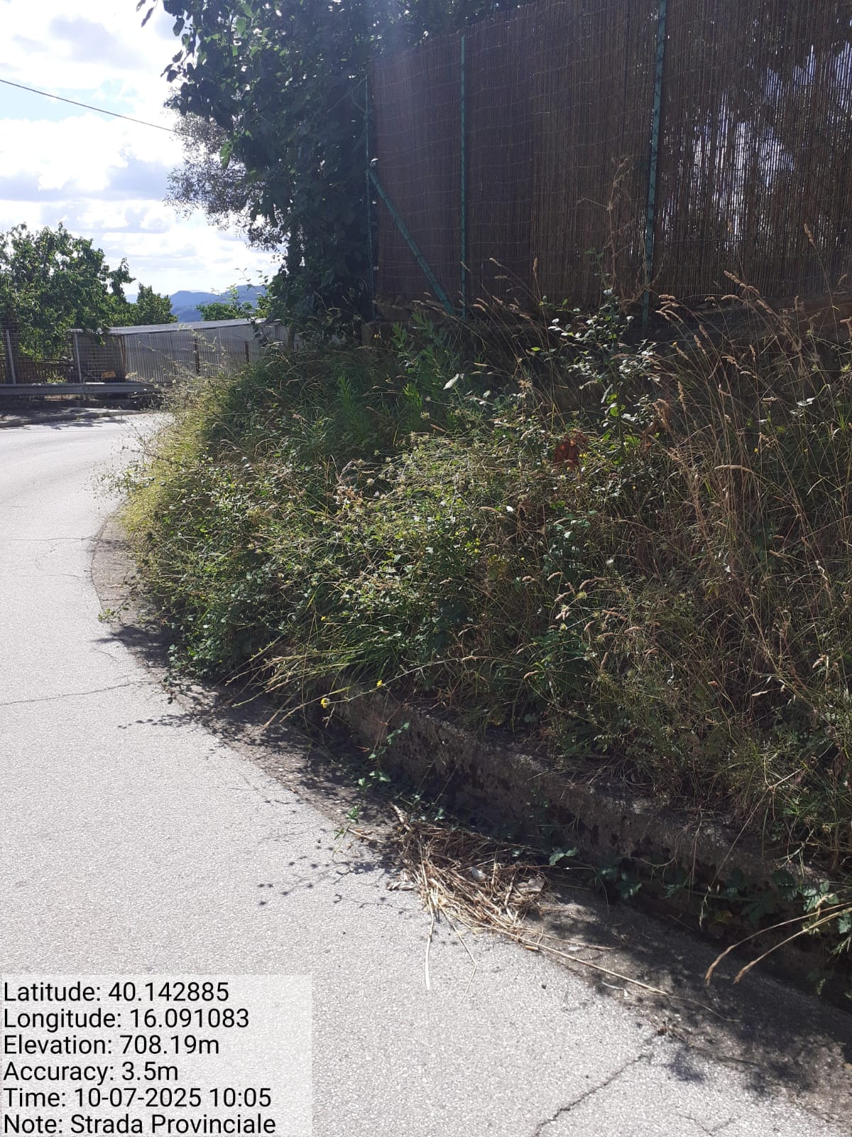 Galleria Fotografica Immagine