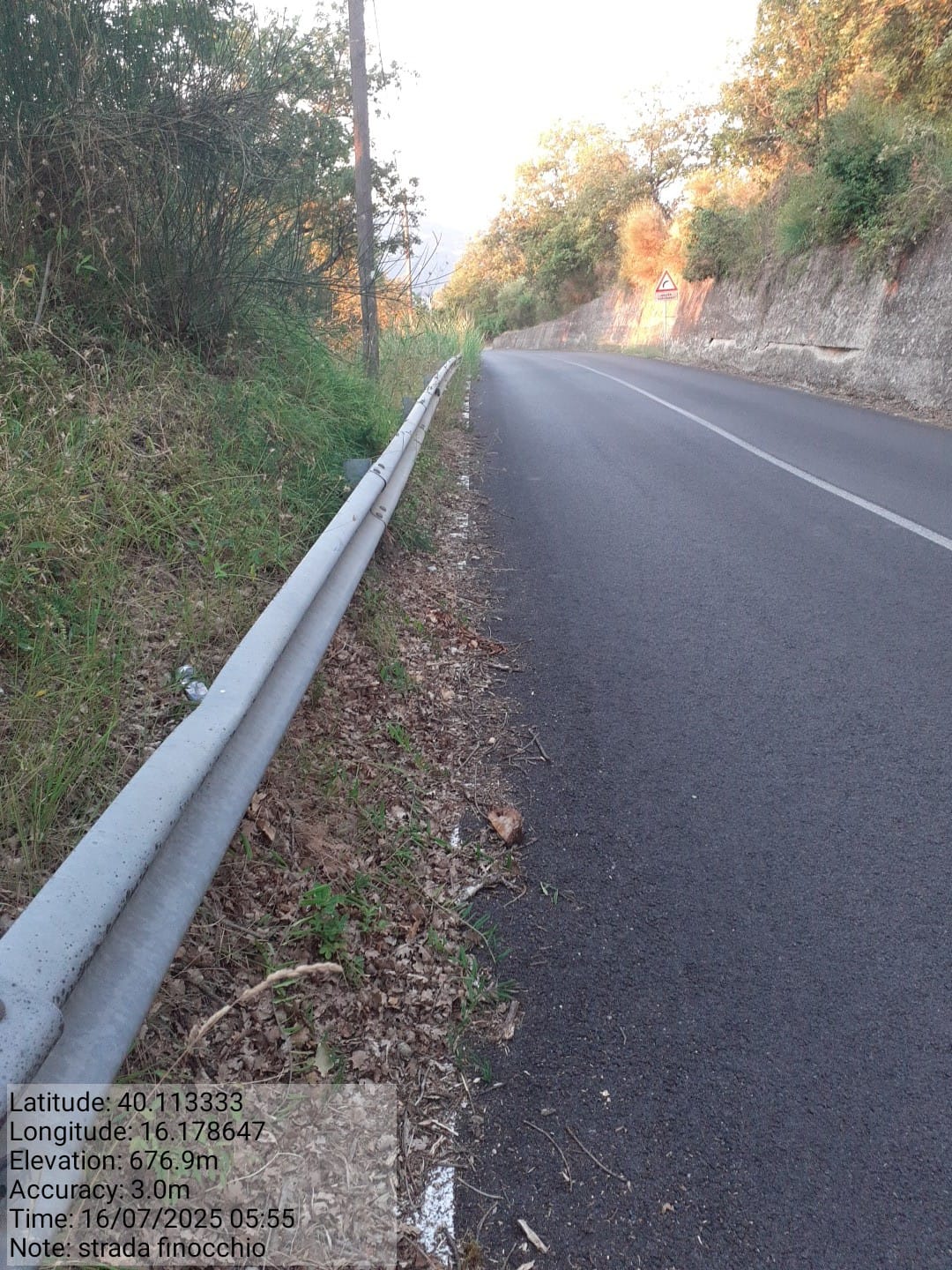 Galleria Fotografica Immagine