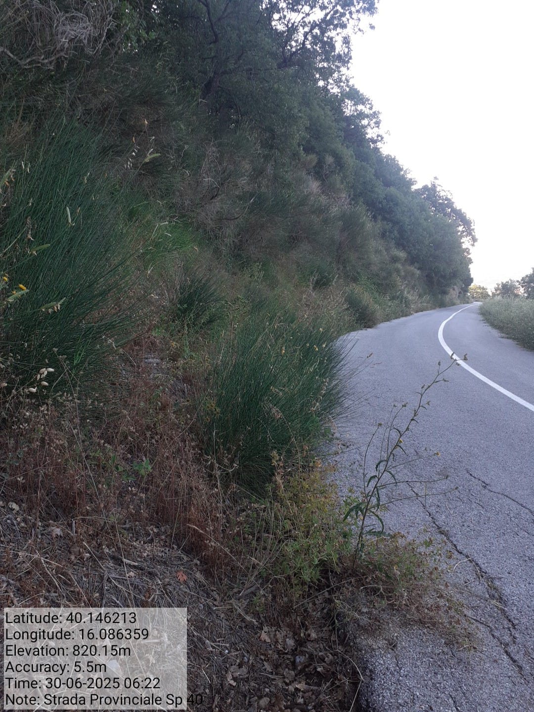 Galleria Fotografica Immagine