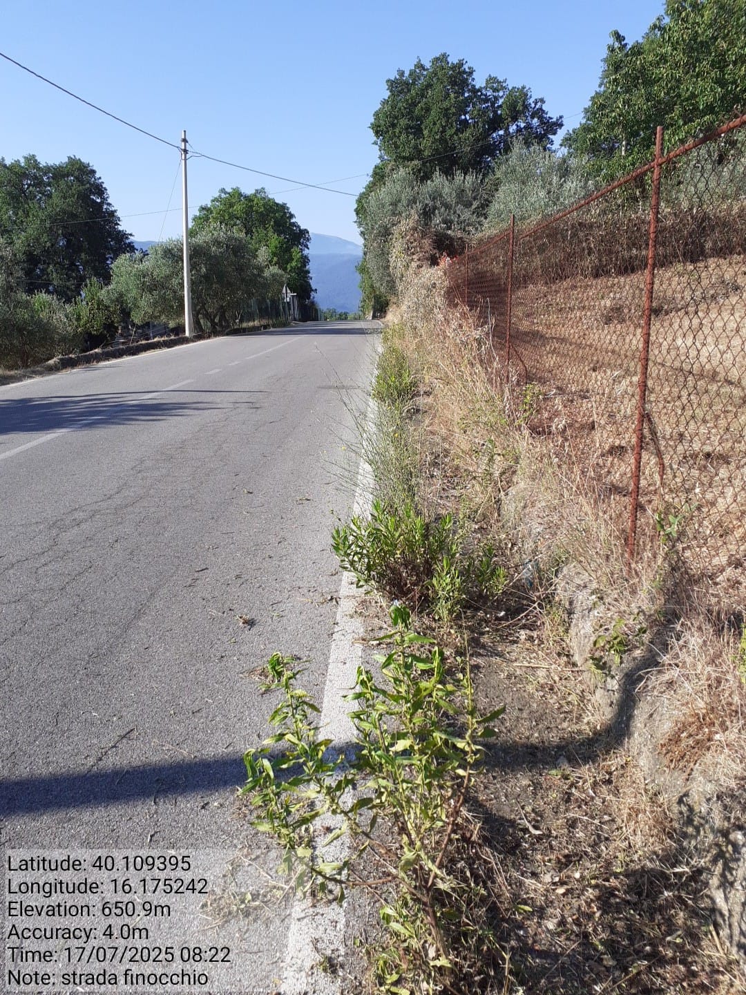 Galleria Fotografica Immagine