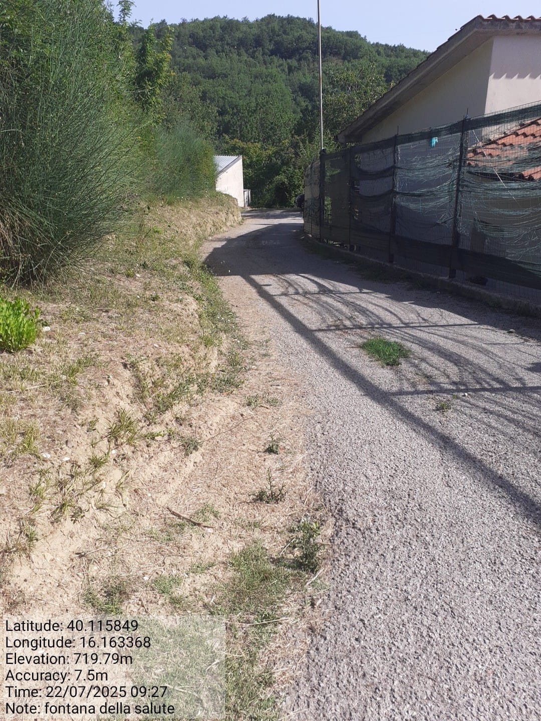 Galleria Fotografica Immagine