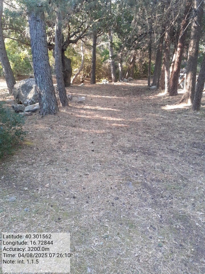 Galleria Fotografica Immagine