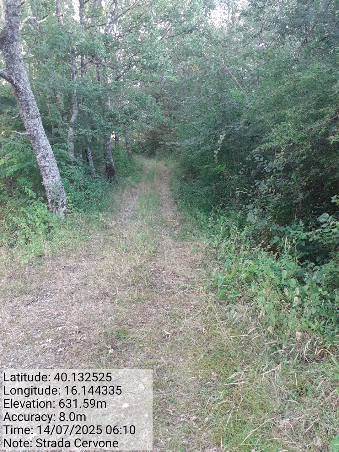 Galleria Fotografica Immagine