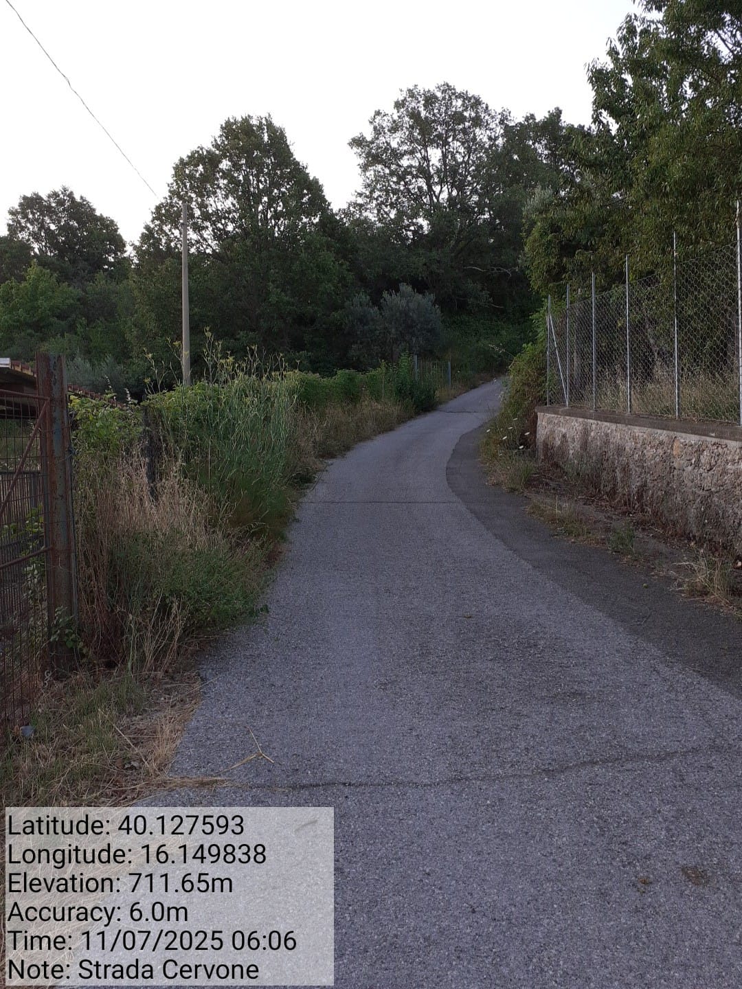 Galleria Fotografica Immagine