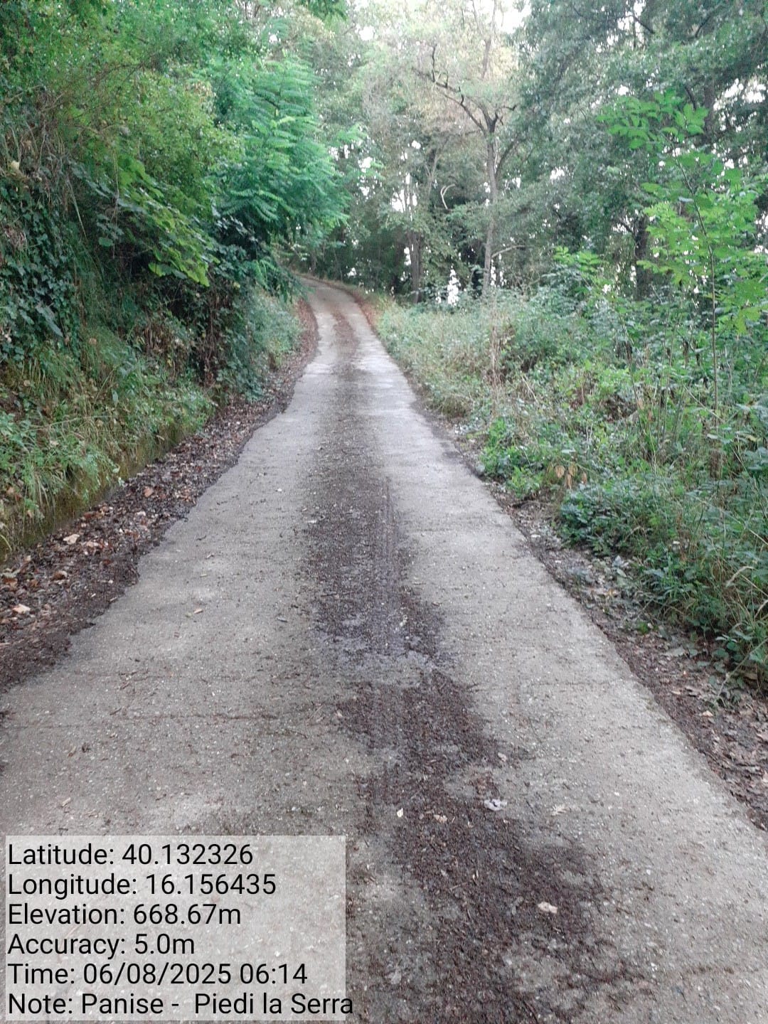 Galleria Fotografica Immagine