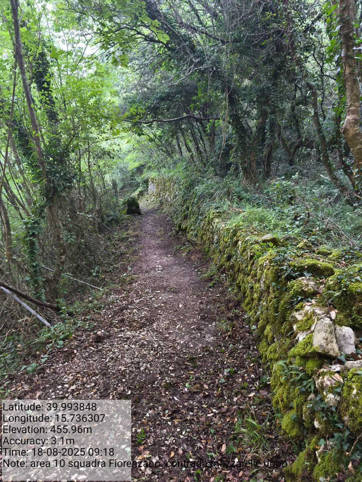 Galleria Fotografica Immagine