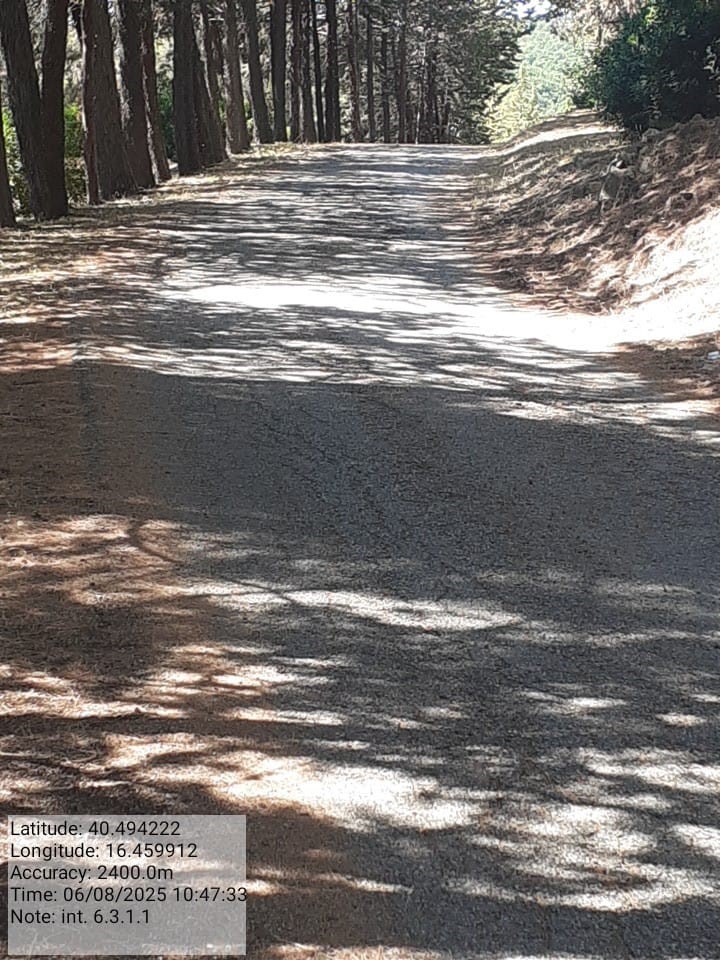 Galleria Fotografica Immagine